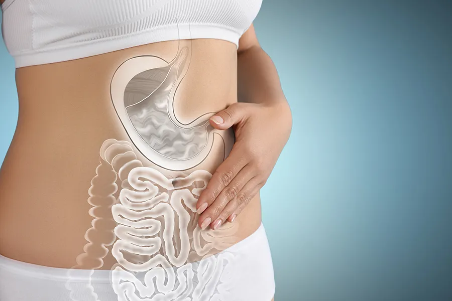 Close up of the midriff of a woman with white underwear and an illustration of the digestive system superimposed over the image. Get help for digestive issues and gut health from Shelley Cole, M.D. of Healthy Success in Temple, Texas.